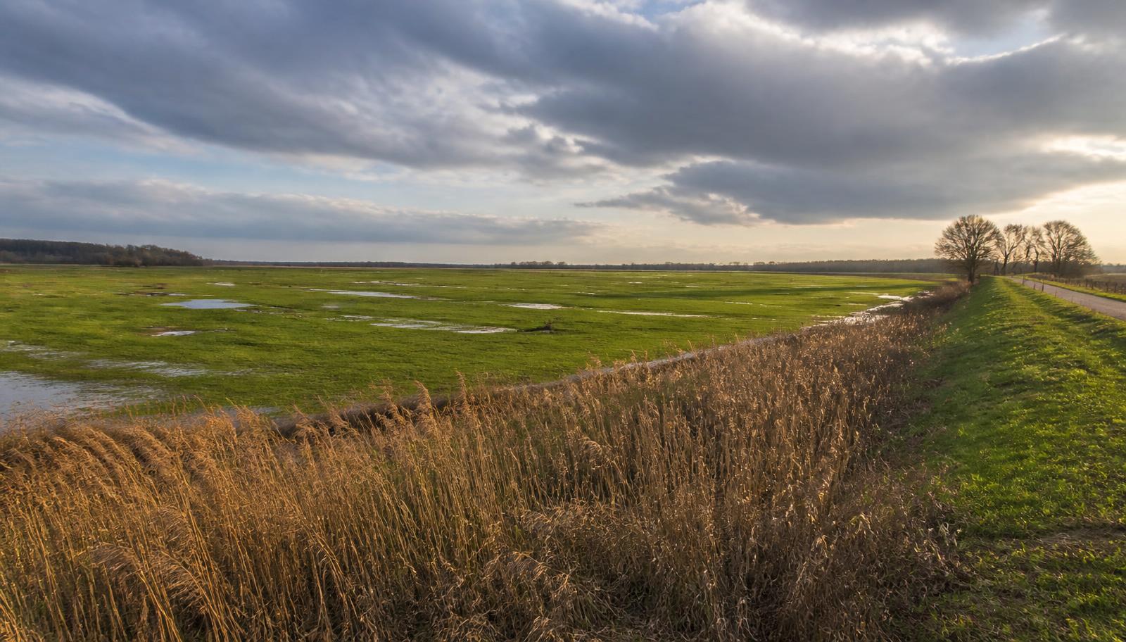 Weite Marschwiesen und Deich an der Elbe unter norddeutschem Wolkenhimmel